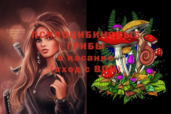 сатива Абаза
