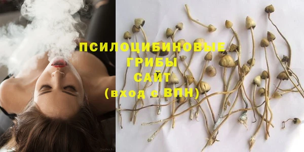 сатива Абаза