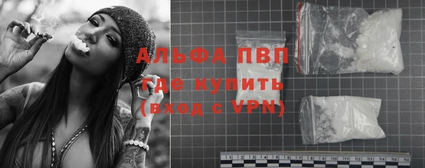 стаф Абинск