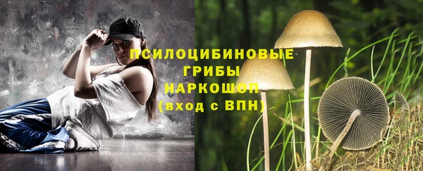 стаф Абинск